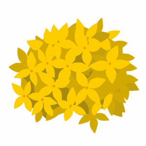 Coralillo