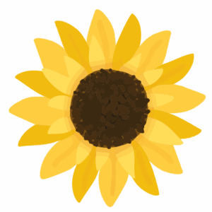 Girasol