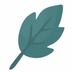Hoja