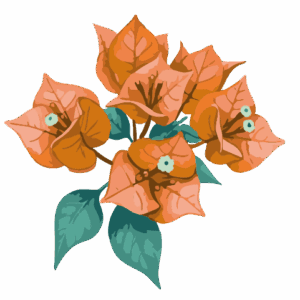 Trinitarias